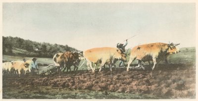 Arando en el Nivernais de Rosa Bonheur